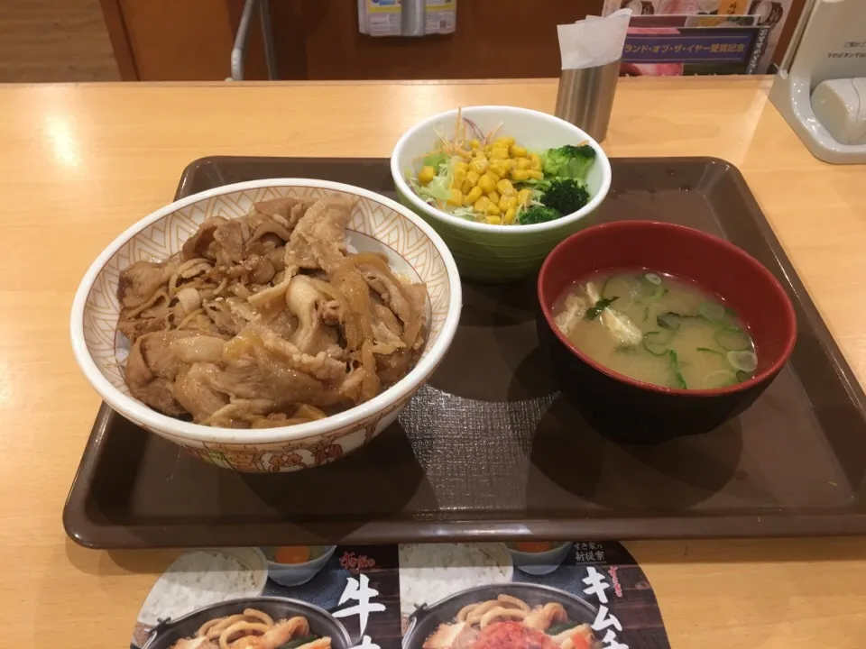 すき家の豚丼サラダ付セットです。|畑田 成治さん