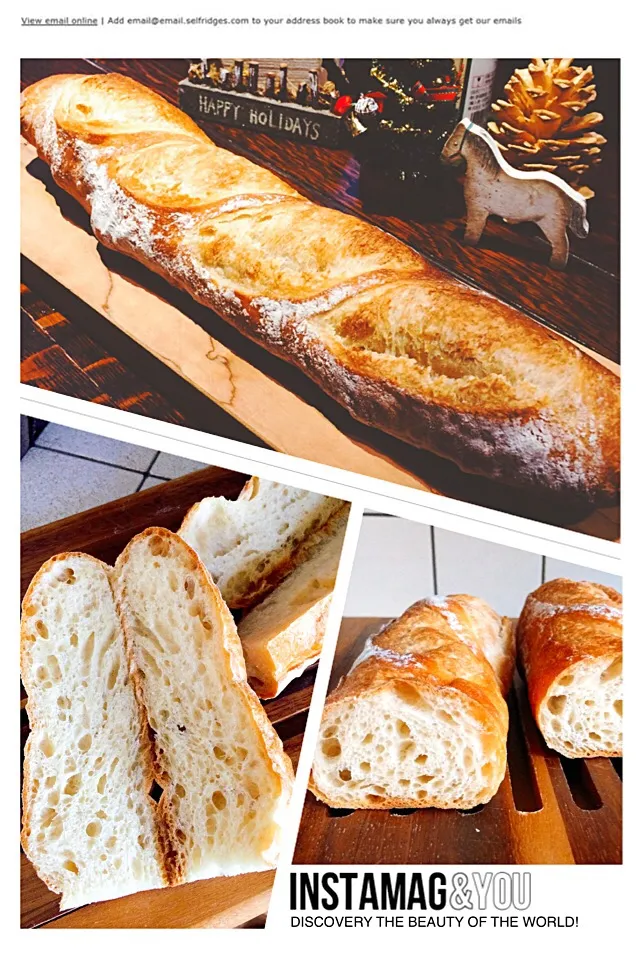 The other day •*¨*•.¸¸♬baguette修行beginner's編その❷|カンカンさん