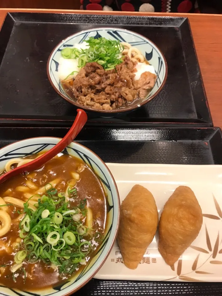 牛すきとろ玉うどん、カレーうどん|yellowcatさん