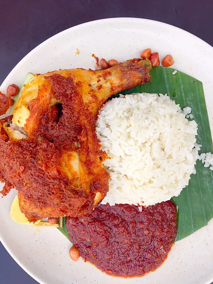 Nasi lemak, the ultimate Malaysian breakfast!|Amy Aliyyaさん