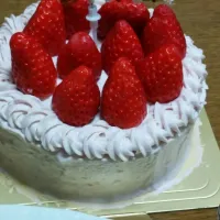 クリスマスケーキ|いちごぱんださん