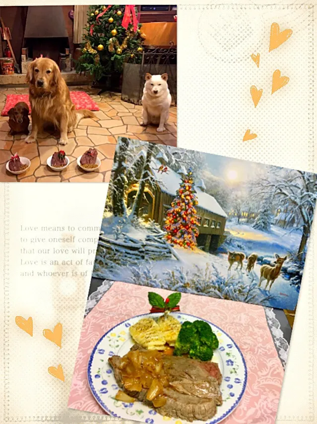 Snapdishの料理写真:クリスマスイヴ🎄
ビーフステーキ🍖ワンコ🐶達もクリスマスディナー🌟ビーフステーキのせ🎉|きゅうちゃんさん