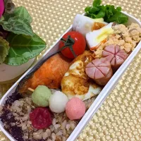 今日のお弁当
久しぶりの日曜出勤です🤗|きょうこさん