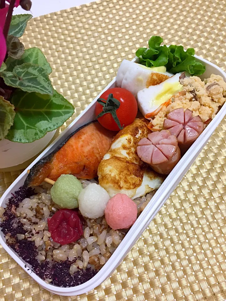 今日のお弁当
久しぶりの日曜出勤です🤗|きょうこさん