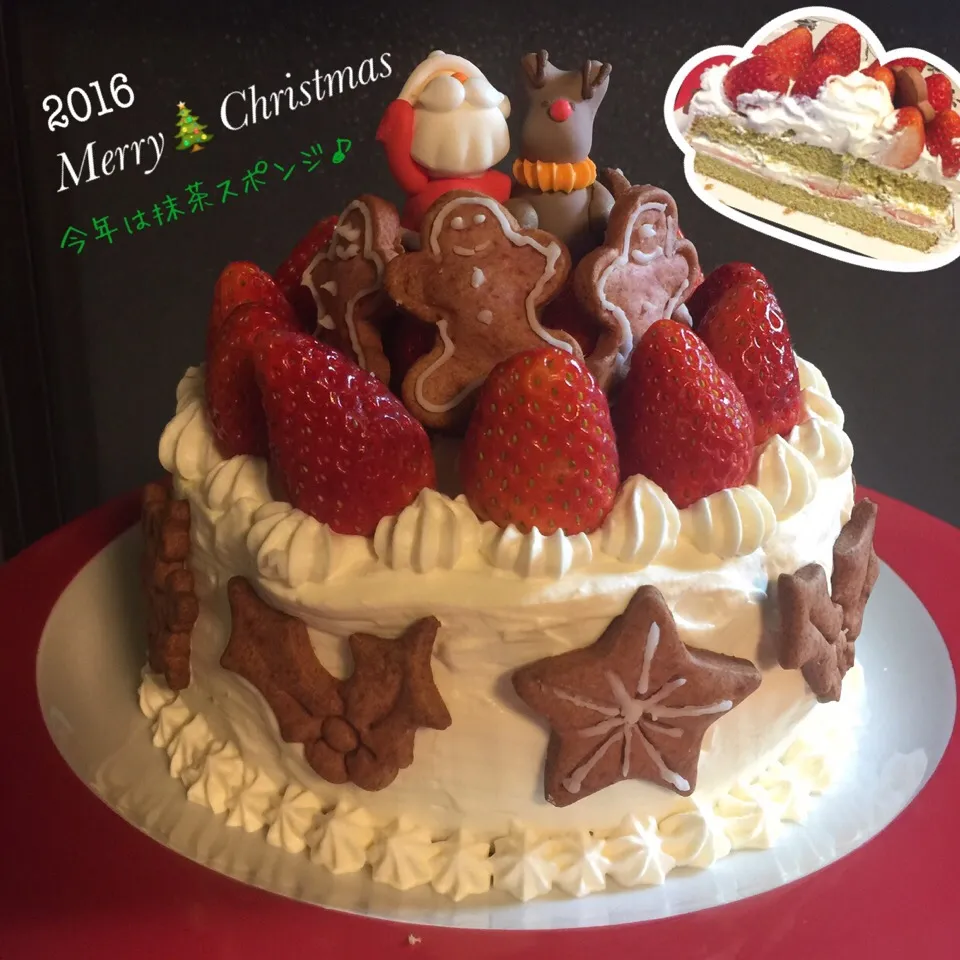 🎄2016🎄クリスマスケーキは抹茶スポンジで🎅 今年もクッキーでおめかし💕|moyukitaさん