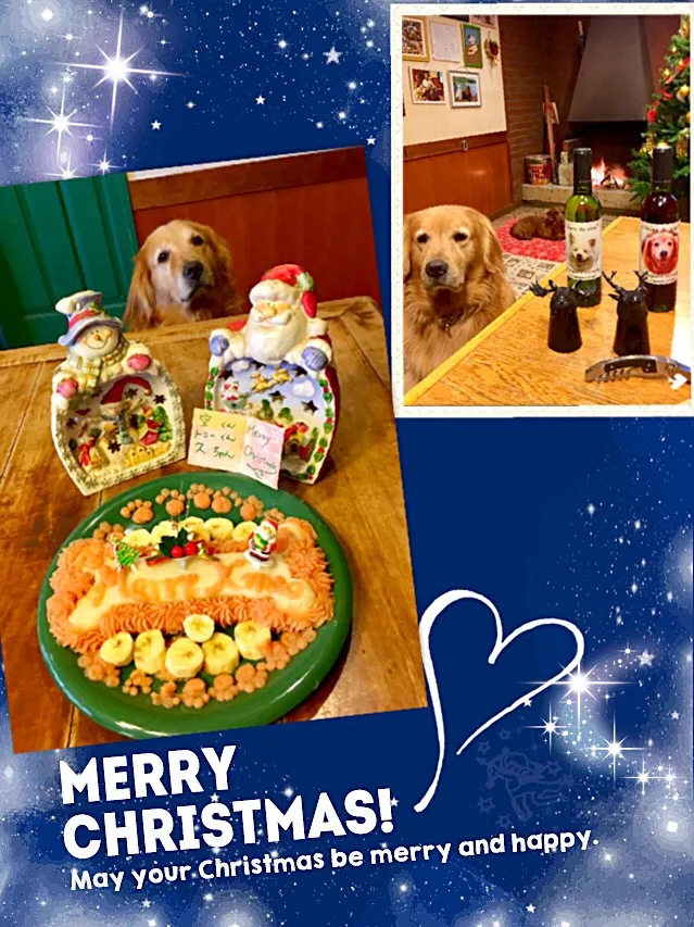 ワンコ🐶達のクリスマスケーキ🎄
マッシュポテトとバナナ🍌
一瞬で消えた💨|きゅうちゃんさん