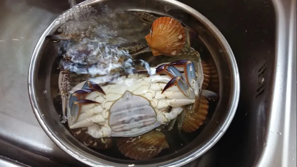 crabs and scallops|steven z.y.さん