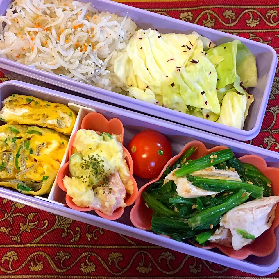 鳥ささみとほうれん草の胡麻和えとしらすご飯弁当|もえさん