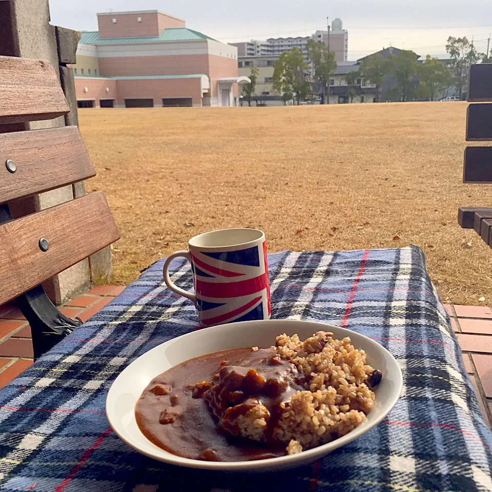 ピクニック・ランチ♬ (▰˘◡˘▰)☝︎ #お昼ごはん #カレーライス #lunch #picnic|Yoshinobu Nakagawaさん