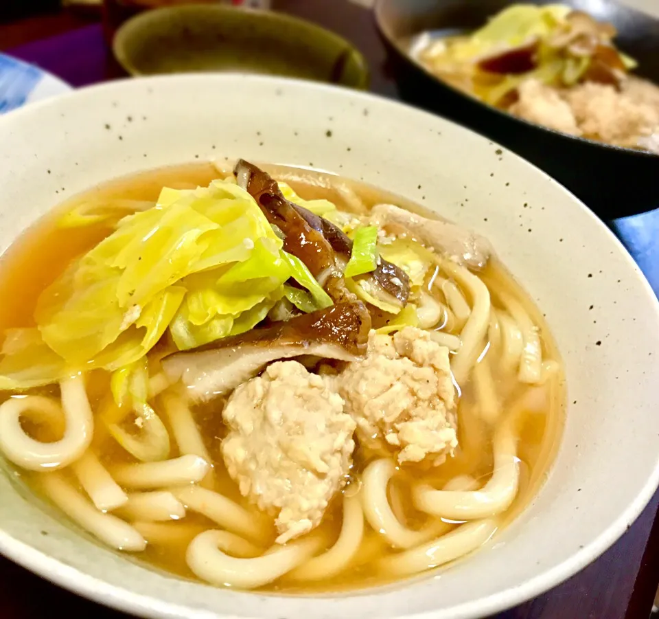 昼ごはん 鶏団子入りうどん|砂雪さん