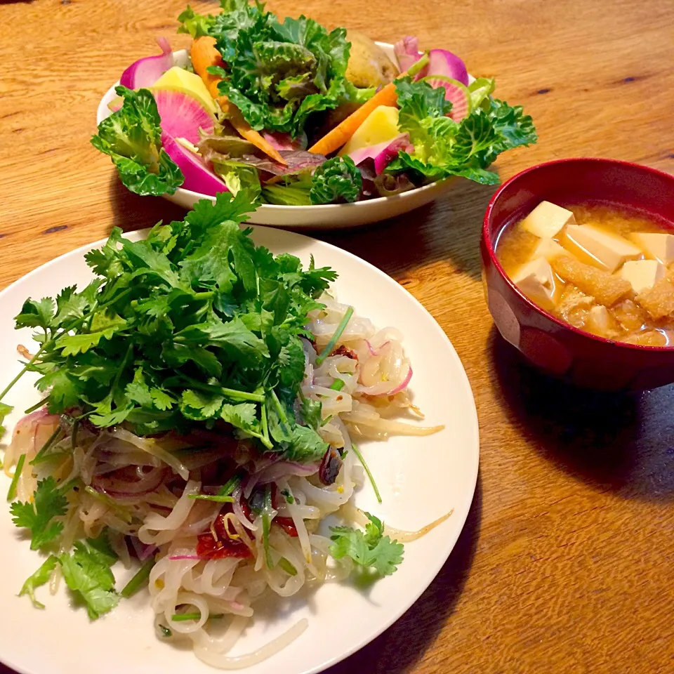 vegan グルテンフリー シュガーフリー
フォーでパクチー焼きそば💕|makiko_aさん