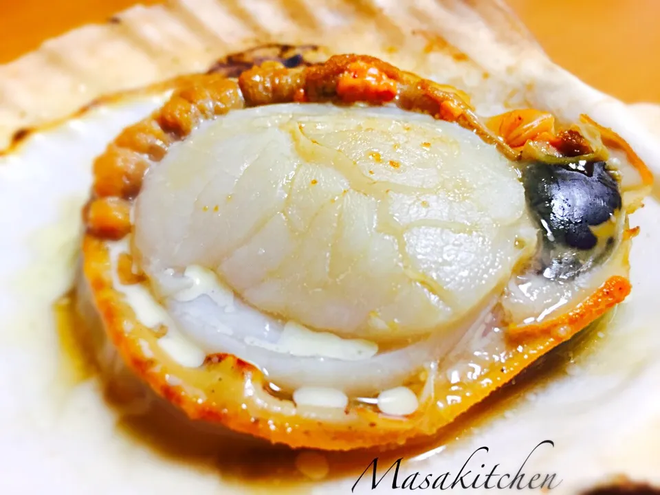 Scallops|Masakiさん