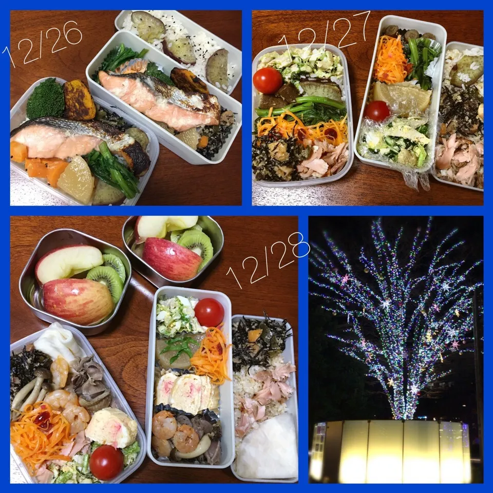 Snapdishの料理写真:12/26〜28 お弁当|もっちさん