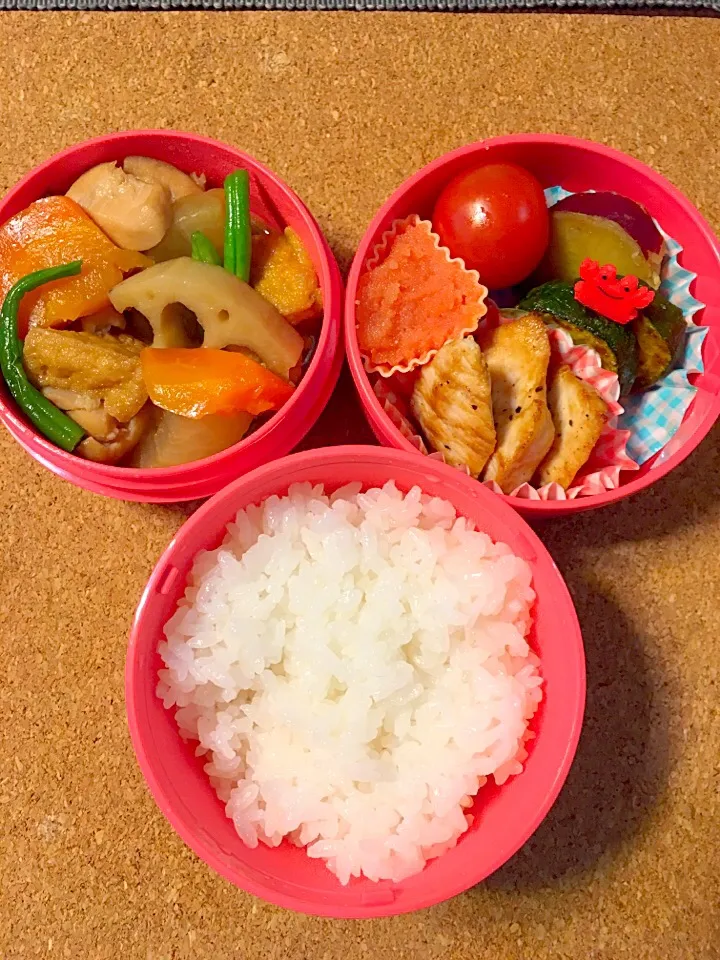 Snapdishの料理写真:塾弁 筑前煮？弁当|tetenonさん