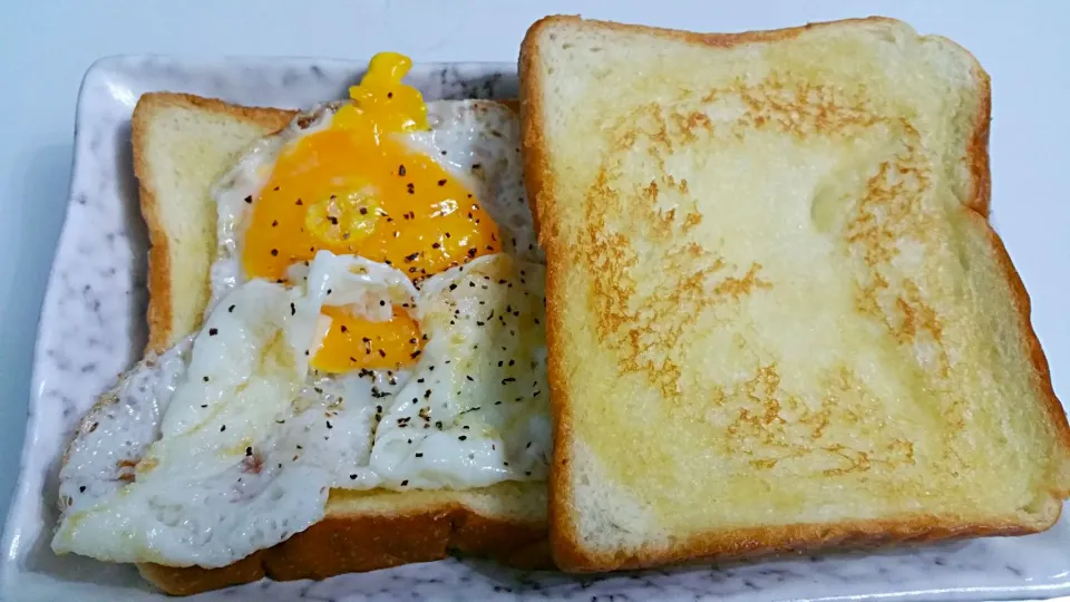 Simple egg sandwich after a long day work 😥 olive oil fried sunny side up with seasalt + black pepper 😍 try this only 5 mins for a yummy quick meal😙|🌷lynnlicious🌷さん