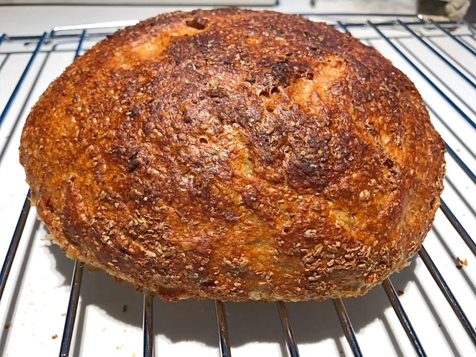 Sourdough #10 ( bread flour, wheat bran, overnight proof, autolyse)|Chocochuさん