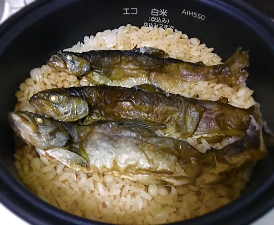 晩ごはん                                            岩魚めし 君が仕事の 終わる頃|ぽんたさん