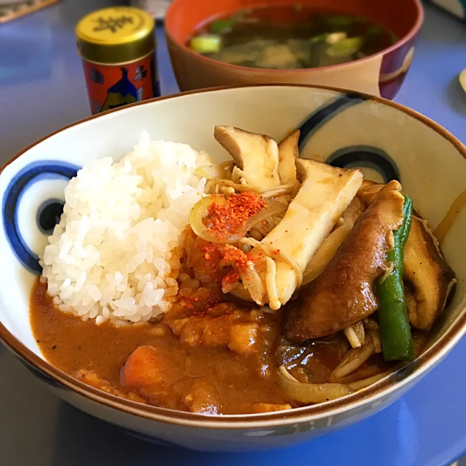 昼ごはん  ４種きのこのスパイス炒めカレー                                     昼休み  胃の腑の奥の 冬カレー|ぽんたさん