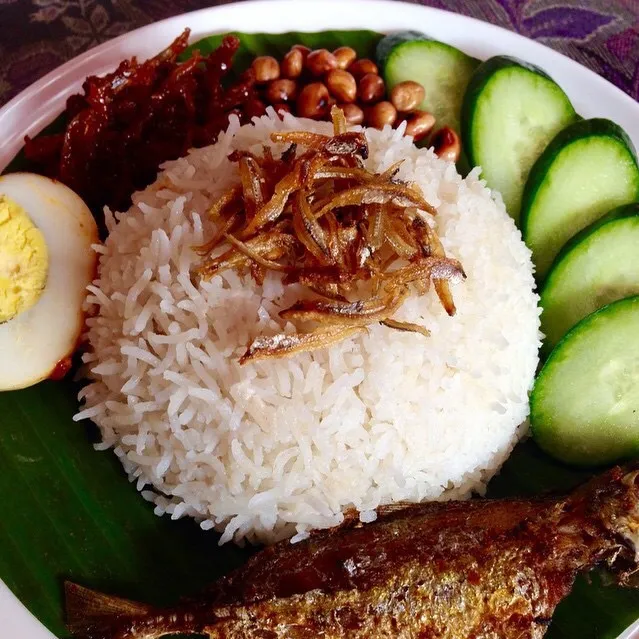 Nasi Lemak. Coconut Fragrant Rice with its side dishes. Famous local dish in Singapore & Malaysia.|Joha Hassanさん