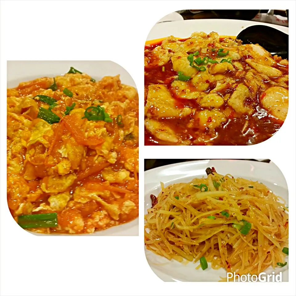 Firday night dinner at Corner 17 restaurant in the loop, St. Louis, MO, USA.  Tomato and eggs, Spicy fish and spicy and sour shredded potatoes.|Jihollandさん