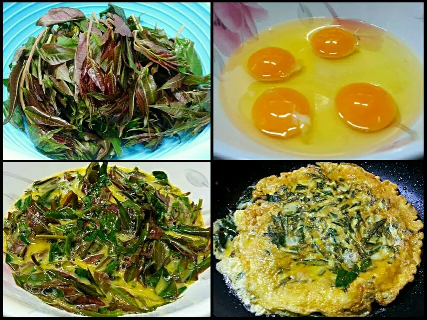 toon sprouts fried egg|steven z.y.さん