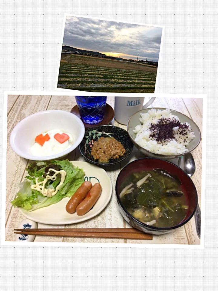 Snapdishの料理写真:おはようございます╰(*´︶`*)╯♡今日の男飯(＞人＜;)朝ごはんバージョン♬
御殿場粗挽きポークand納豆and大根葉とブナシメジとワカメの味噌汁andピクルスヨーグルト♬|ひーちゃんさん