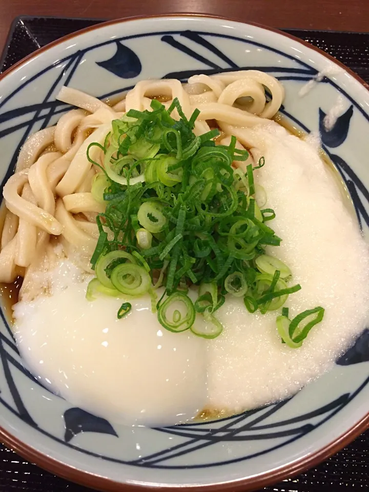 Snapdishの料理写真:とろ玉うどん|T. Wonderさん