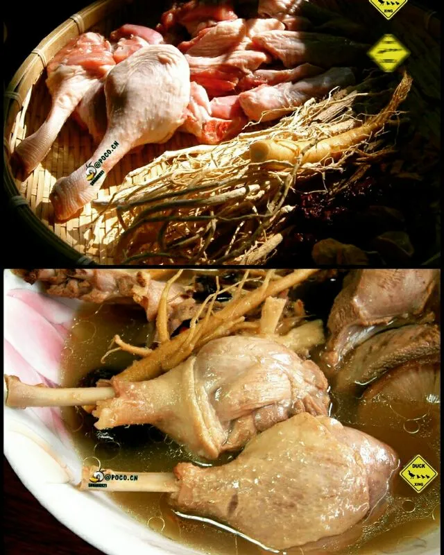 duck soup in herbal medicine|steven z.y.さん