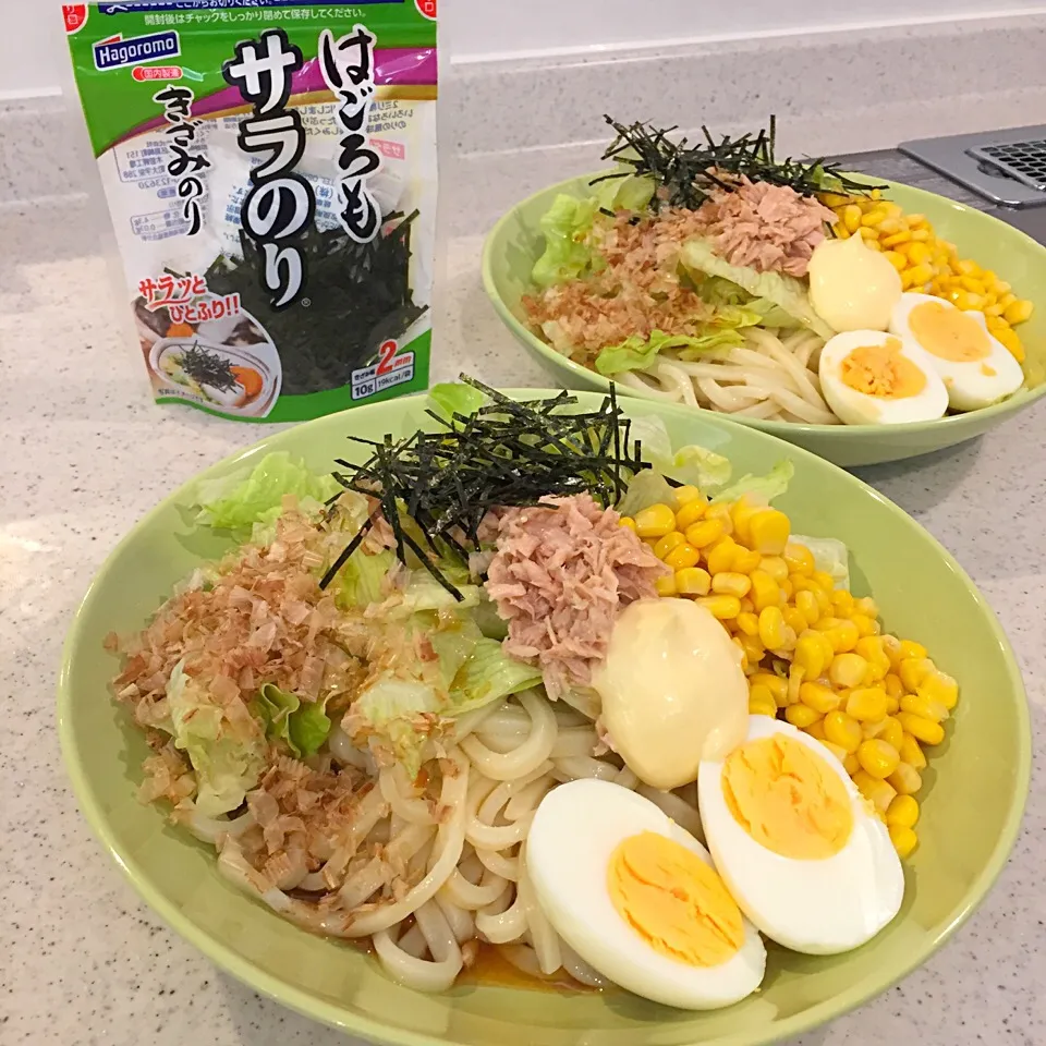 #カトキチ冷凍うどん #サラダうどん|ヨッチャンさん