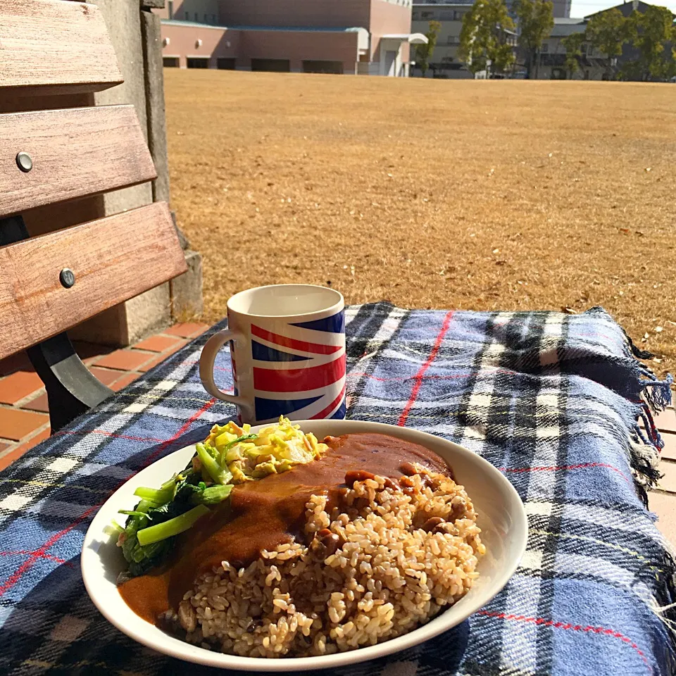 ピクニック・ランチ♬ (▰˘◡˘▰)☝︎
#lunch #お昼ごはん #picnic #カレー #ワンプレートランチ #雑穀米|Yoshinobu Nakagawaさん