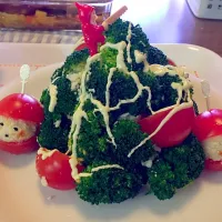 Snapdishの料理写真:おからサラダでクリスマスツリー♪|Nami Satoさん