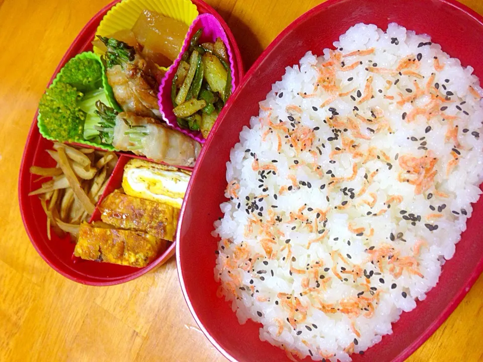 2016.12.⁇ #お弁当 #素朴ご飯 

ママ弁当
＊桜えびと黒ごまのごはん
＊豚肉の水菜巻き
＊ブロッコリー
＊卵焼き
＊じゃがいもとピーマンのカレー炒め
＊ごぼうのきんぴら
＊大根の煮物|NAKAMOTO'Sさん