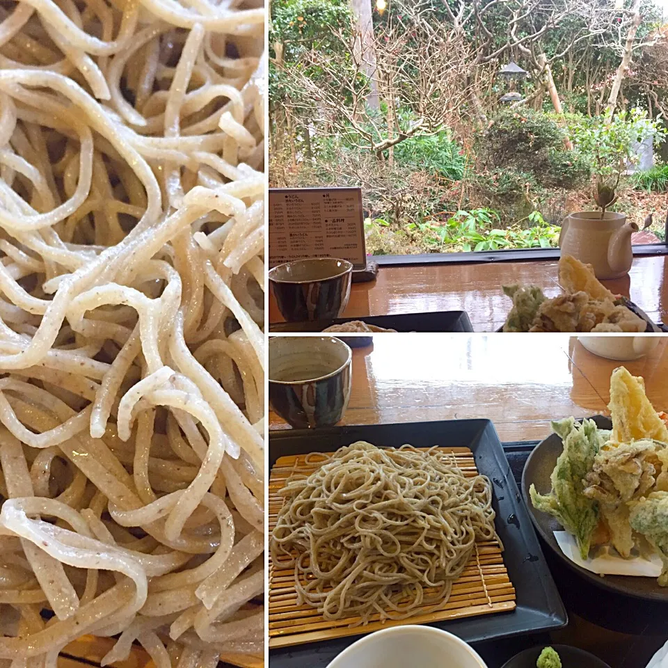 今日も蕎麦(^o^)/|wildcat山猫さん