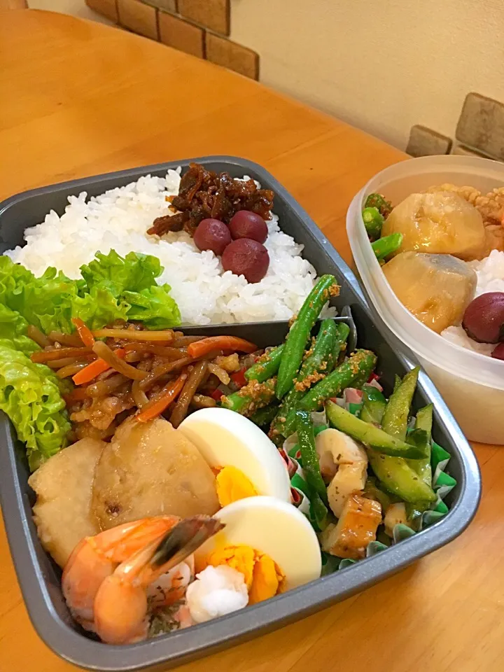 1月10日のお弁当（╹◡╹）|美也子さん