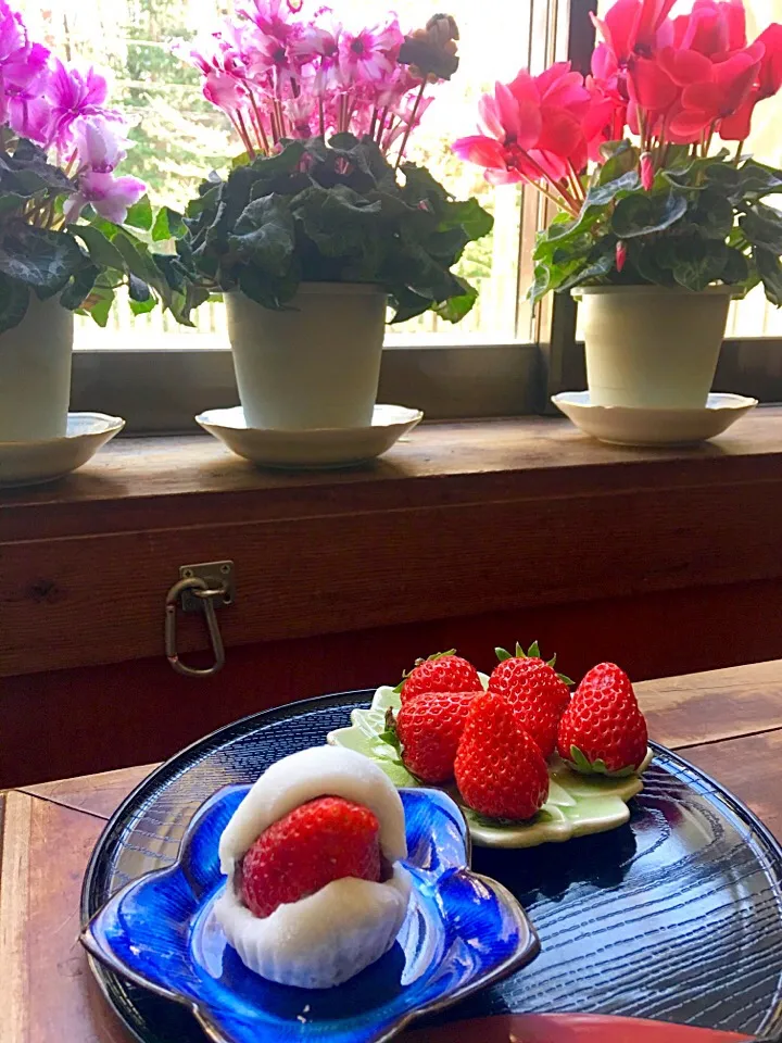 栃木の苺大福🍓お土産に頂きました🌟|きゅうちゃんさん