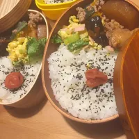 Snapdishの料理写真:水曜日の夫婦わっぱ弁当。|ゆうまんさん