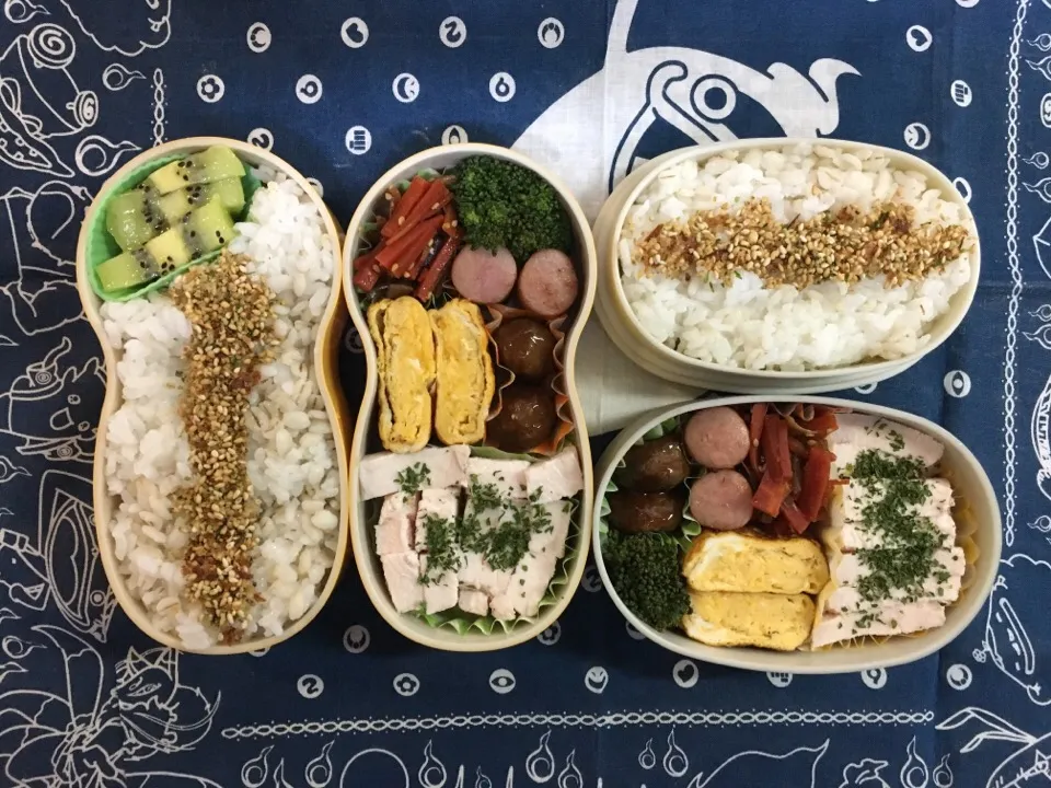 2017/1/11 父の作るお弁当🍱|じゅんさん