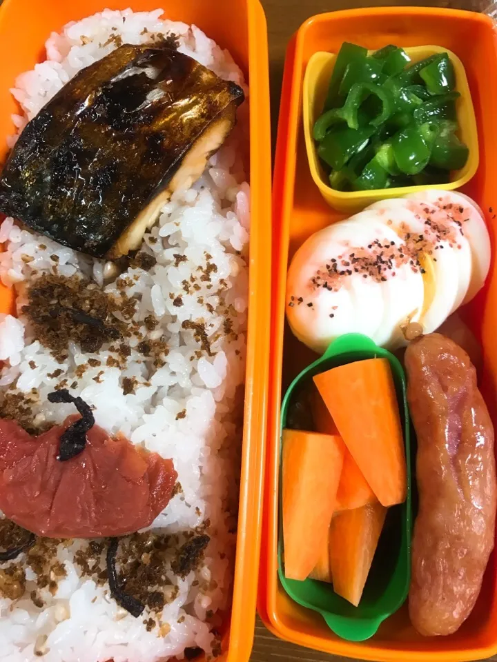 Snapdishの料理写真:今日のお弁当
#塩サバ焼き#自家製梅干し#シャウエッセン#ゆで卵にグアバ塩#人参の下にクルミ味噌#ピーマンのナムル|料理家めーらさん