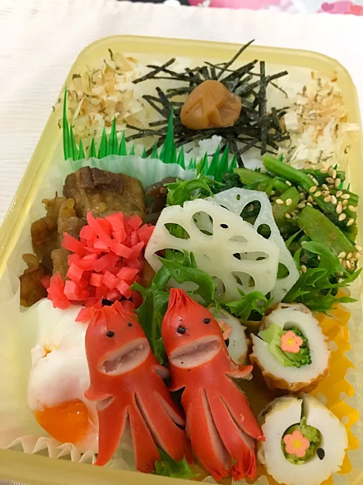 1月11日  プクパパ お弁当|プクママさん