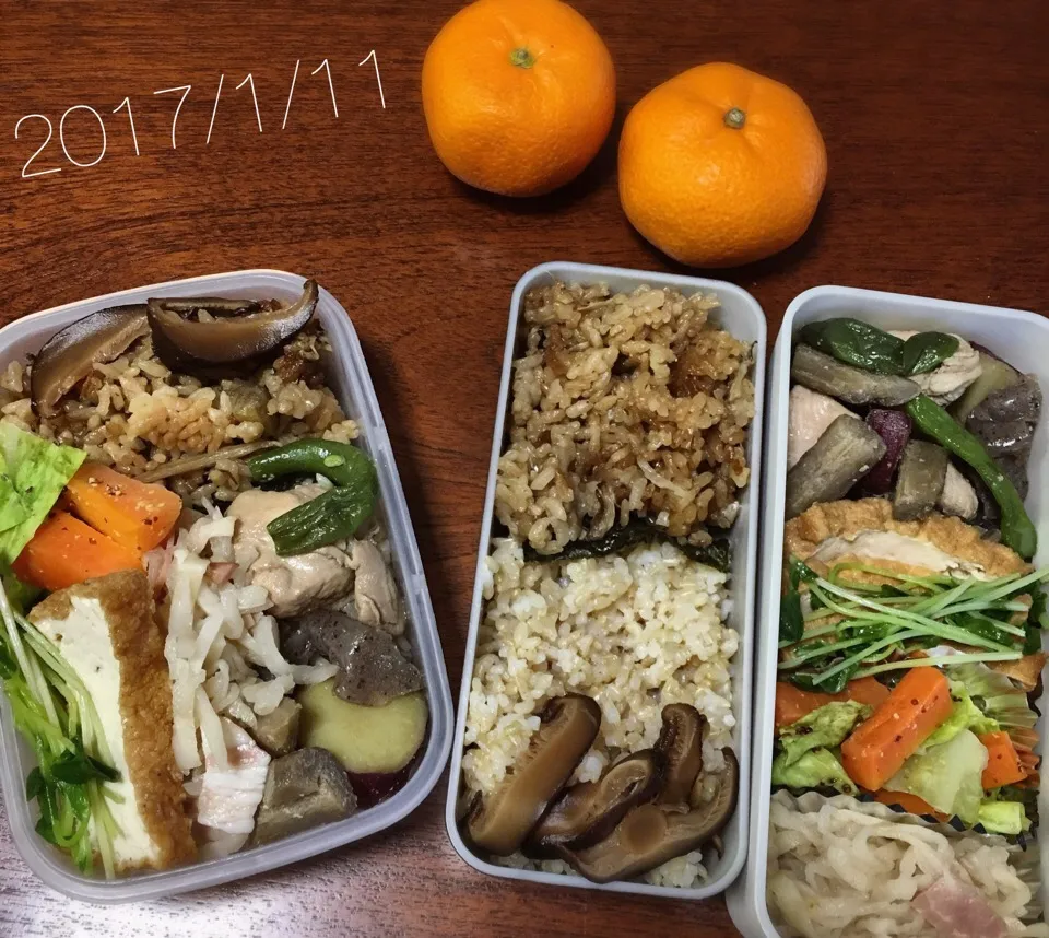 1/11お弁当|もっちさん