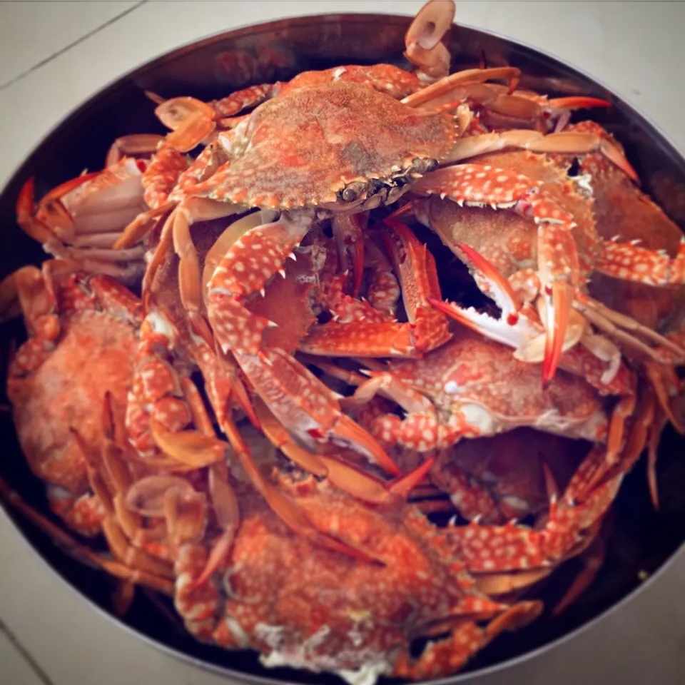 Snapdishの料理写真:蒸したカニ
Steamed Crabs|Yannさん