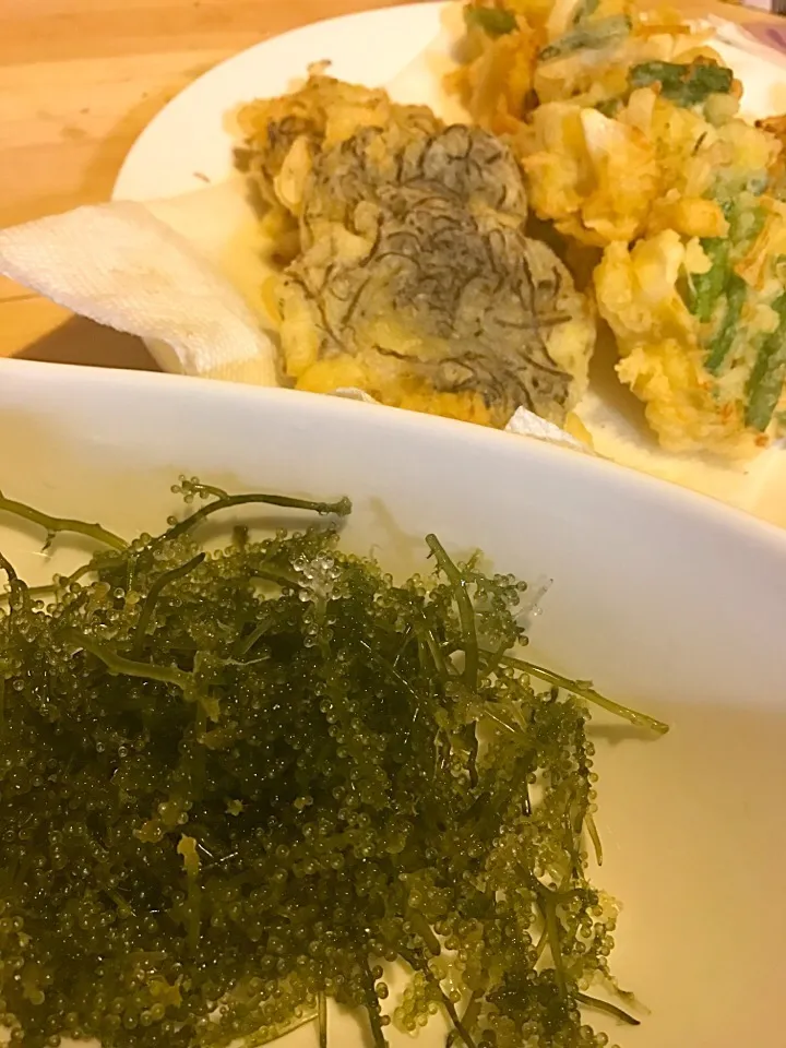 久高島の海ぶどう
南城市のインゲン
沖縄のもずく
沖縄の食材たち|yumicoさん