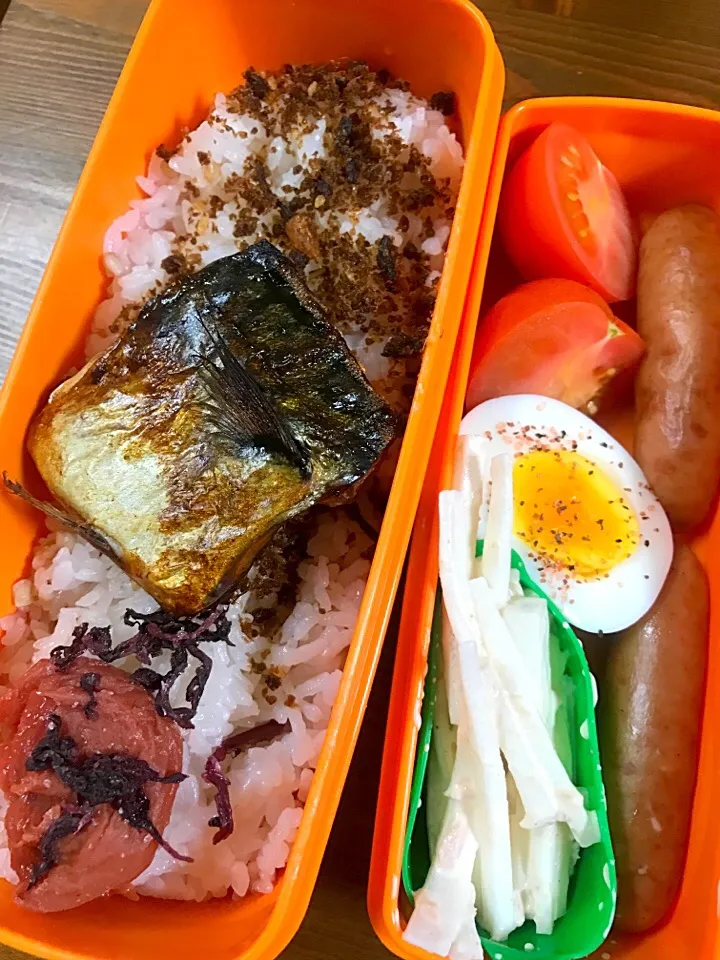 今日のお弁当#塩サバ焼き #自家製梅干し #シャウエッセン #ゆで卵にグアバ塩 #大根とツナのサラダ#はなひめトマト|料理家めーらさん