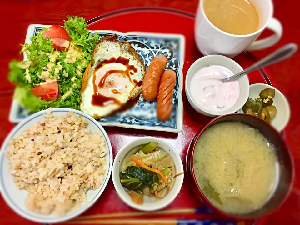 玄米で朝ご飯|ishibashiさん