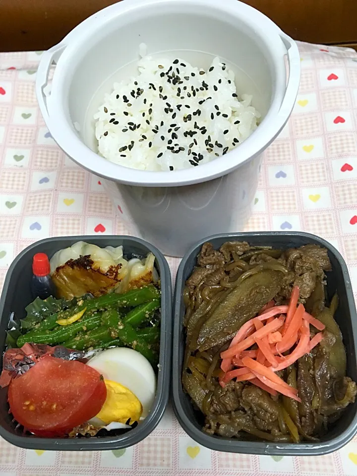 1月12日息子弁当
牛肉のしぐれ煮
インゲンの胡麻和え  餃子 トマトゆで卵|オリーブさん