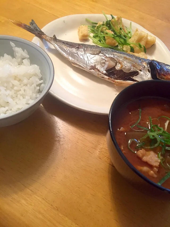 1月12日夜ご飯🍴
ご飯、鯵の塩焼き、豚汁、豆苗と油揚げの炒め物|みったんさん