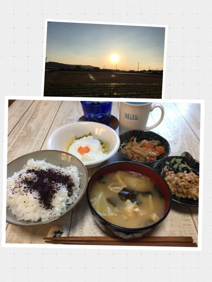 今日の男飯(＞人＜;)朝ごはんバージョン♬
納豆and自作切り干し大根の煮物and味噌汁andしそごはんandピクルスヨーグルト♬|ひーちゃんさん