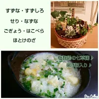 Snapdishの料理写真:塩麹鶏の七草粥♪