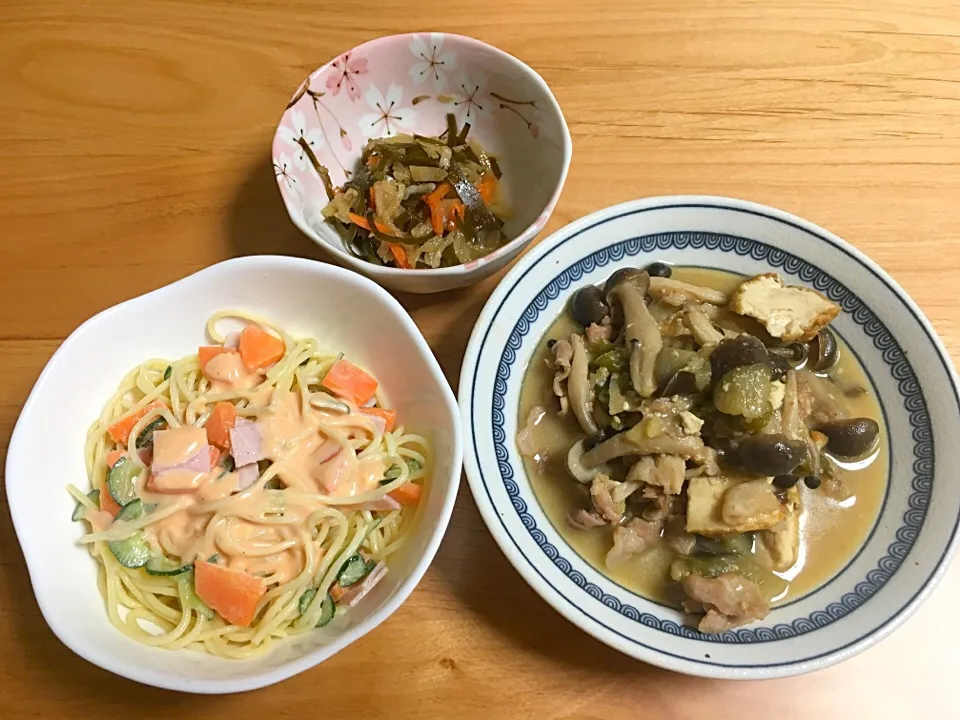 豚と厚揚と野菜の味噌煮⭐️パスタサラダ⭐️切り干し大根|ほなさん