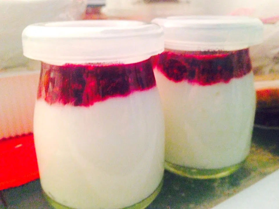 Snapdishの料理写真:桑椹優格yogurt with mulberry jam.|SPJWUさん